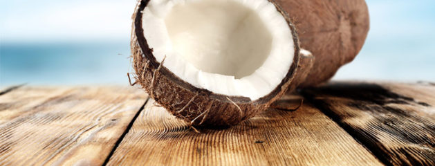 “Coconut” 8.09.17